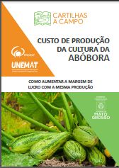 Custo de produção da abóbora