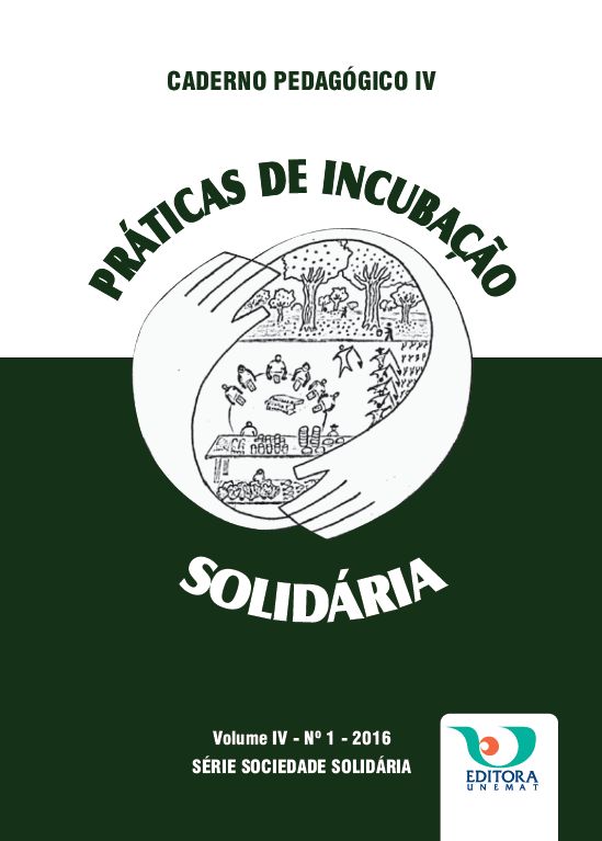 Caderno Pedagógico IV - práticas de incubação solidária