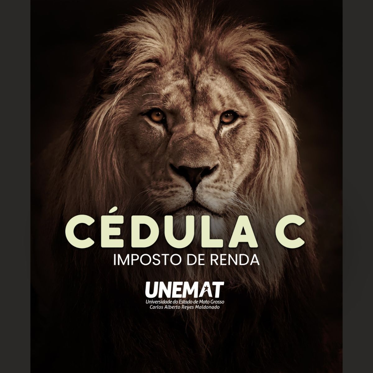 Unemat disponibiliza Cédula C – Ano Calendário de 2025