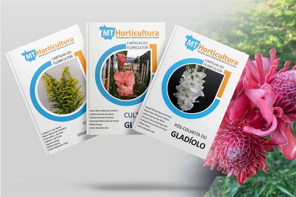 Referência científica em flores de corte, Unemat recebe acadêmicos do IFMT em Tangará da Serra