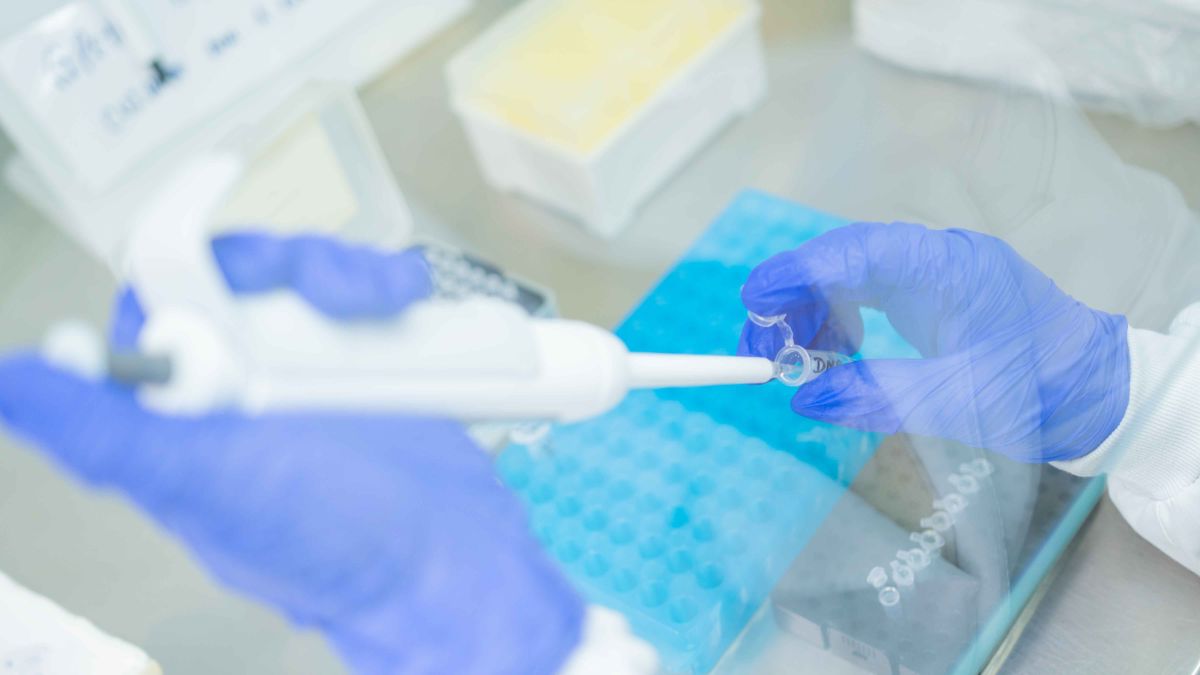 Unemat desenvolve teste rápido para identificar nematóides em lavouras de soja