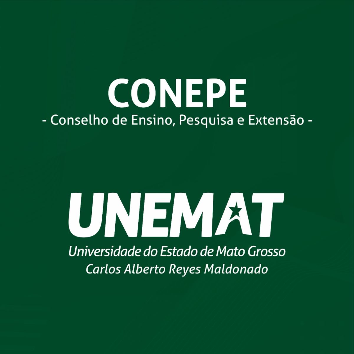 Unemat realiza Sessão Extraordinária do Conselho de Ensino, Pesquisa e Extensão
